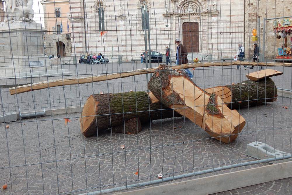 “Medit’azione” presentata l’installazione di Massimo Lippi per la Settimana della bellezza