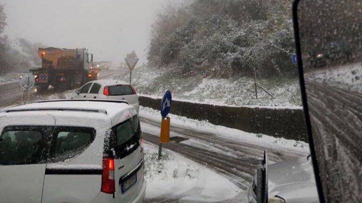 Maltempo sull’Amiata: auto intrappolate dalla neve sulla strada. E un albero cade su un canile