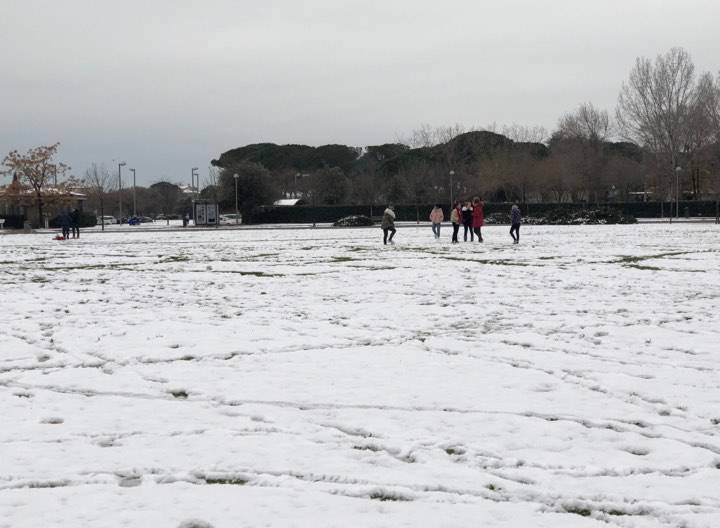 Maltempo: Neve a Grosseto 1 marzo 2018