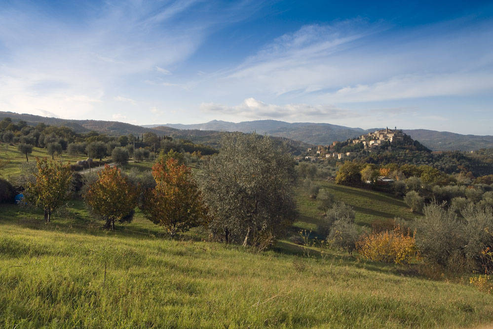 Atti di vandalismo all’azienda agricola: «Non è la prima volta»