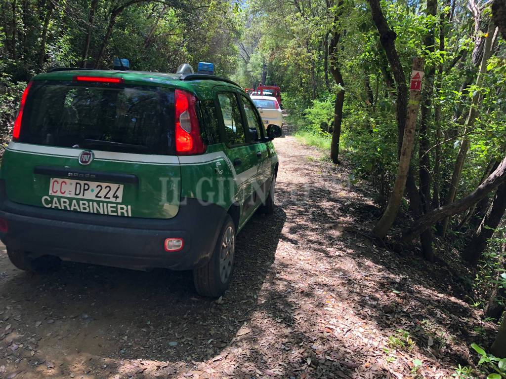 Ritrovato il fungaiolo disperso da ieri sera nelle macchie della Maremma