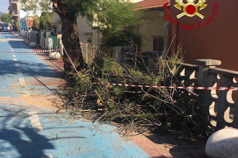 Ciclabile su lungomare chiusa: a lavoro per potare gli alberi