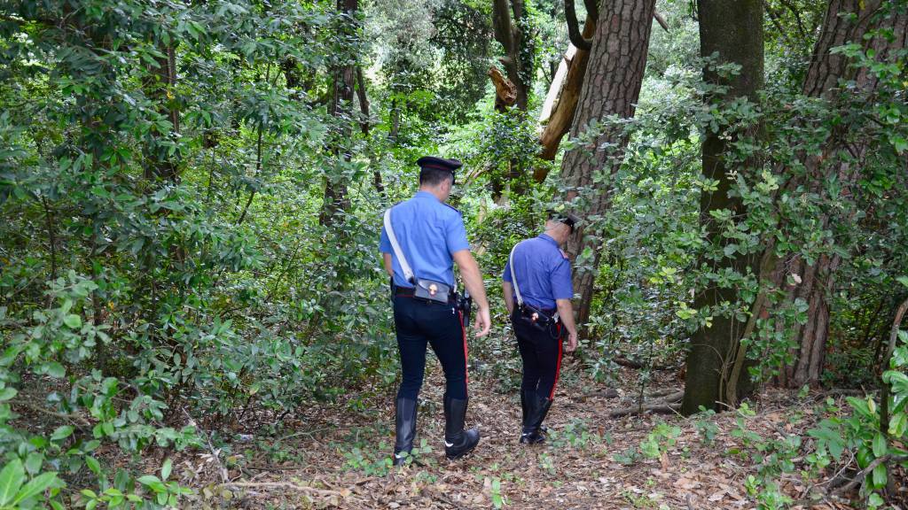 Si perdono nel bosco: scattano le ricerche per ritrovarli