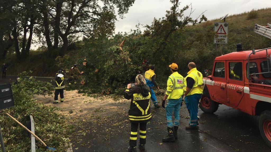 Albero cade sulla carreggiata: strada chiusa