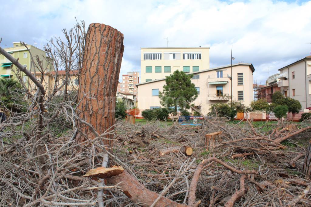 lavori pineta Follonica