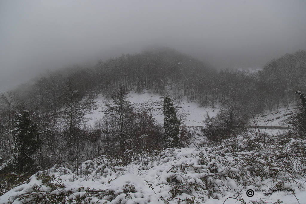 Neve Gerfalco Montieri 2019