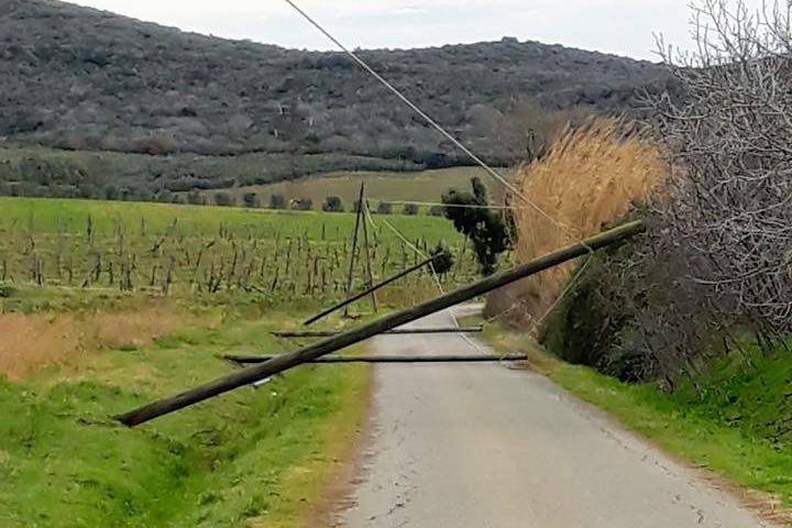 Pali del telefono divelti dal maltempo cadono sulla strada