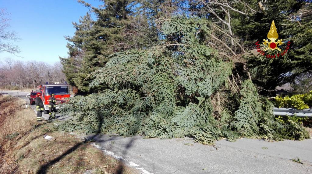 Rami, alberi, cornicioni e tegole pericolanti: la Maremma nella morsa del vento