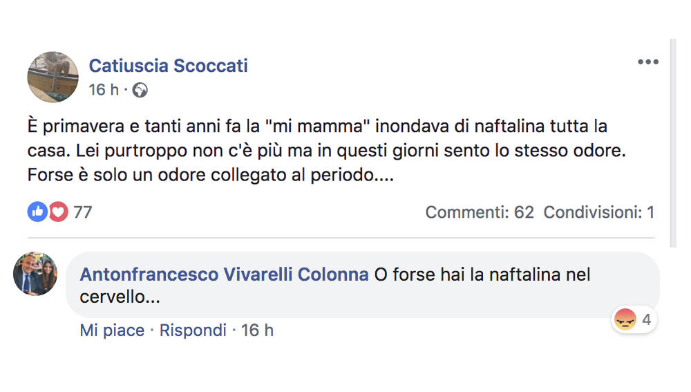 «Hai la naftalina nel cervello». Bufera sul sindaco di Grosseto per il post alla consigliera