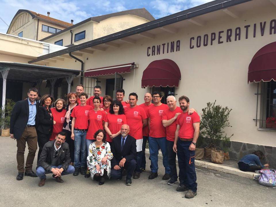 La Cantina Vini di Maremma compie 65 anni: una storia antica che inizia nel 1954