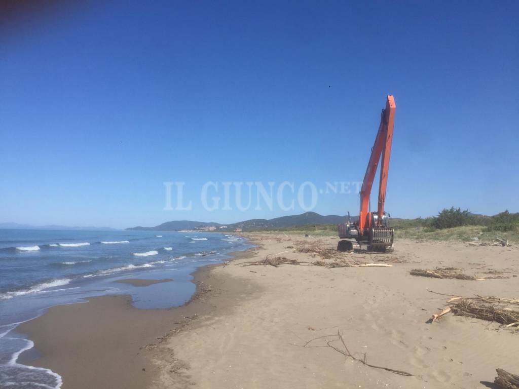 Tronchi spiaggia tra Fiumara e Le Marze