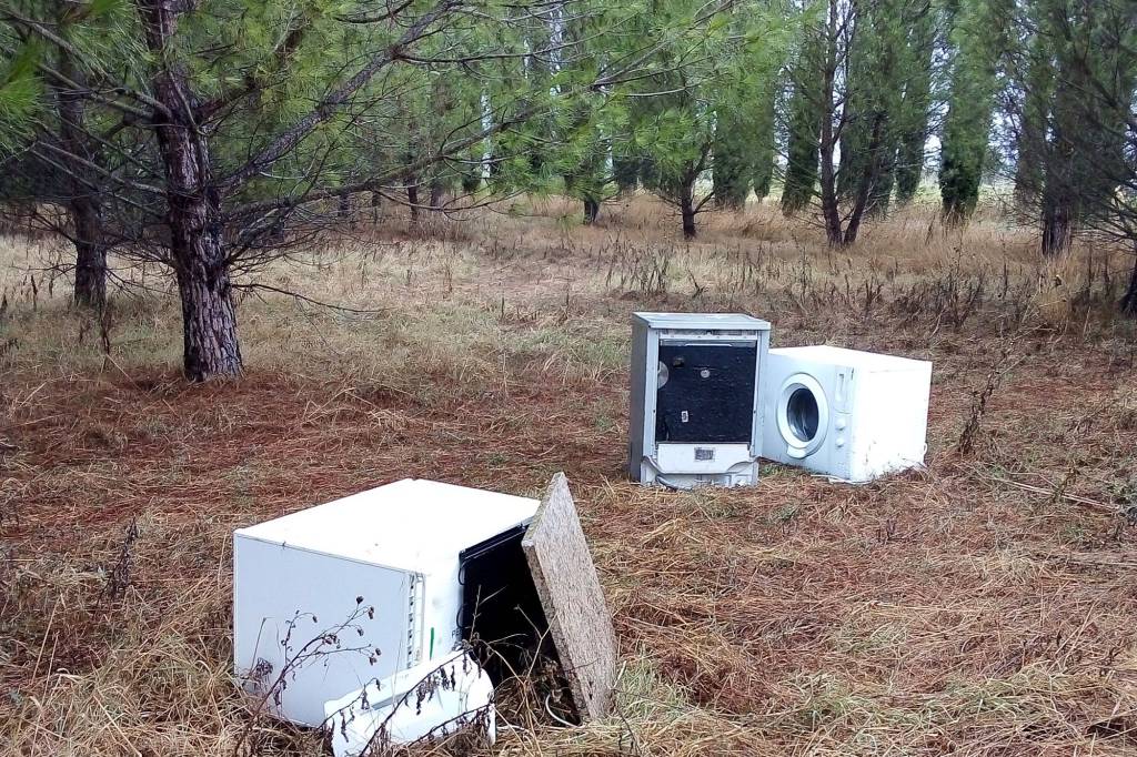 Una discarica di lavatrici tra i pini a due passi dal centro