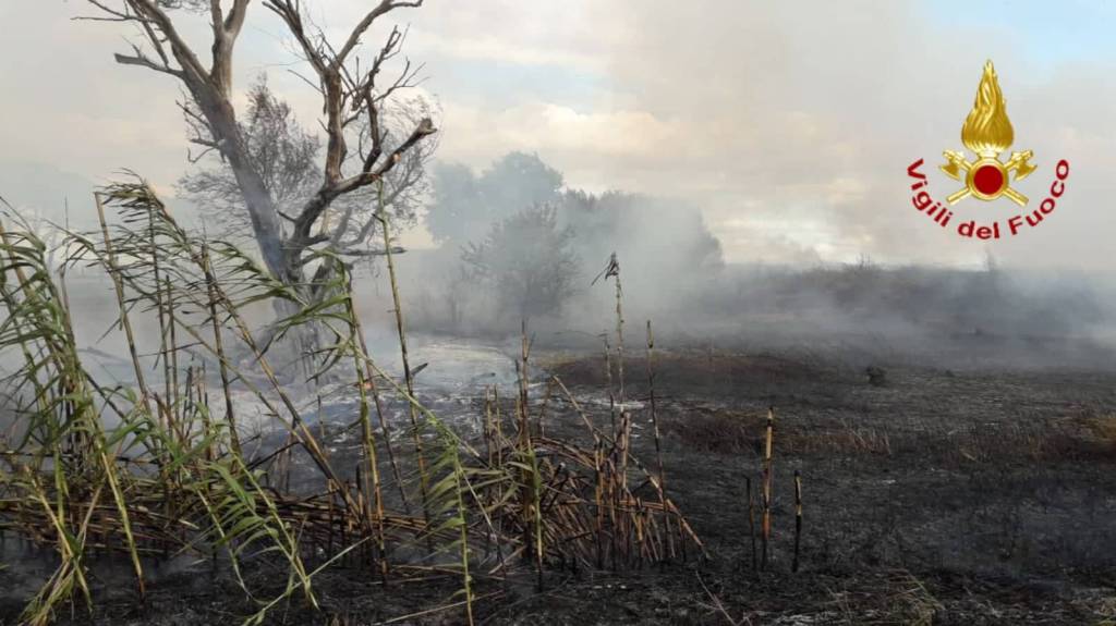 Incendio lungo l’argine: a fuoco le sterpaglie