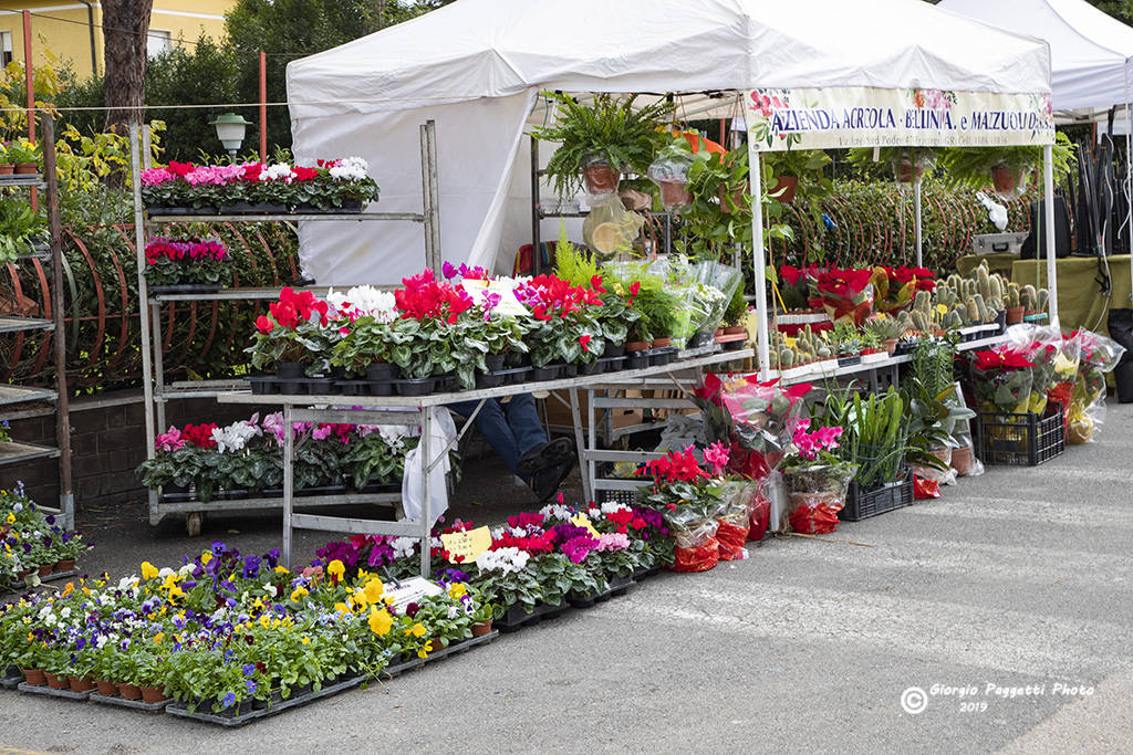 Mercatini di Natale 2019 Bagno