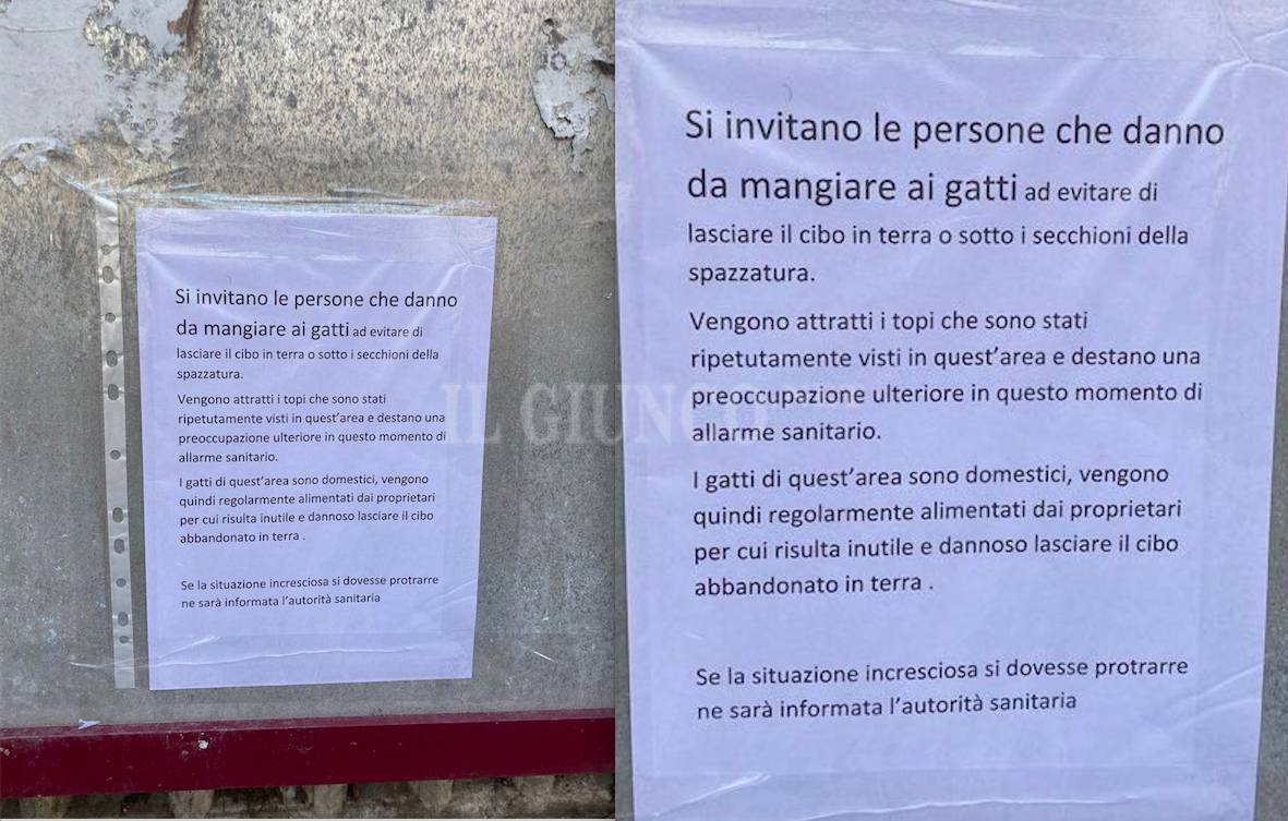 I cartelli in strada: «Basta cibo sui marciapiedi per i gatti, attira i topi»