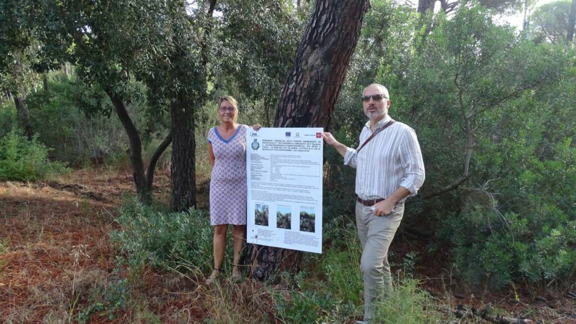 Piante secche e malate nelle pinete di Castiglione: via al trattamento contro il Matsucocco