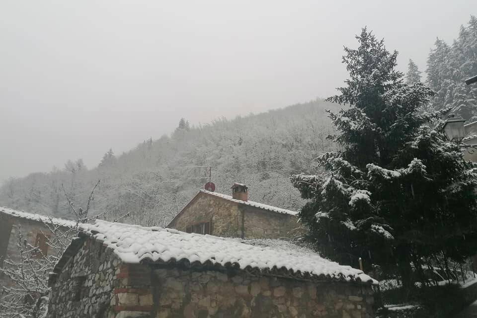 Neve a Montieri