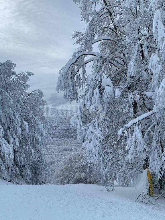 Neve sull'Amiata