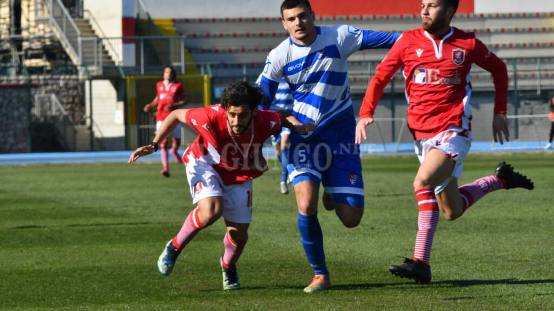 Grosseto, prova di forza contro la Pro Patria: Cretella regala tre punti d’oro