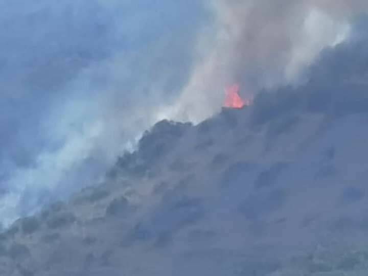 incendio Ronconali