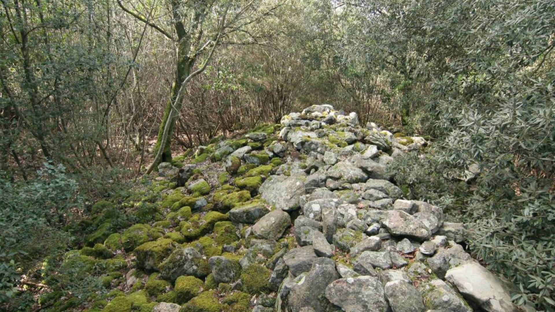 I “Murali” di Monte Leoni protagonisti al convegno di archeologia negli Stati Uniti