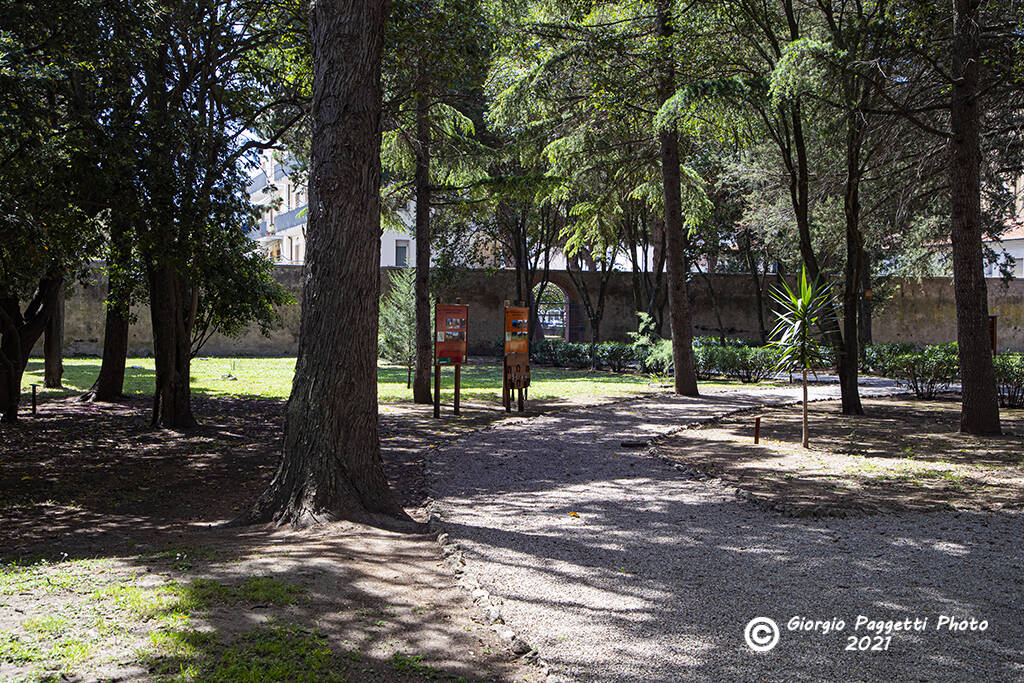 giardino botanico del Palazzo granducale