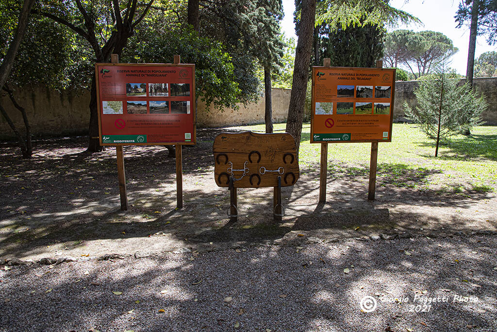 giardino botanico del Palazzo granducale