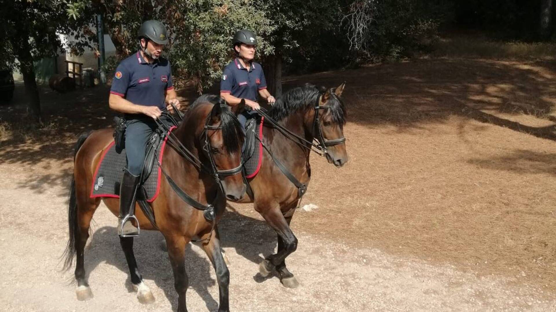 Cittadinanza onoraria ai carabinieri: in città arriva la fanfara per festeggiare