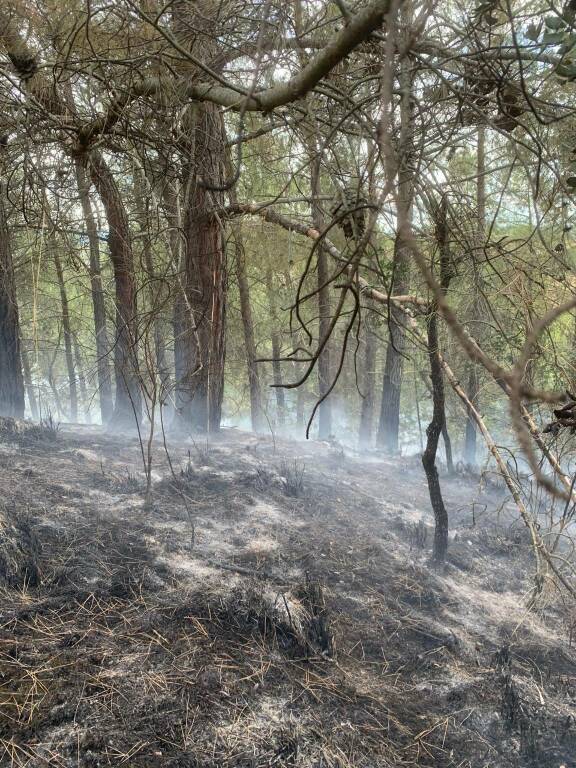 incendio Seggiano 5 agosto 2021