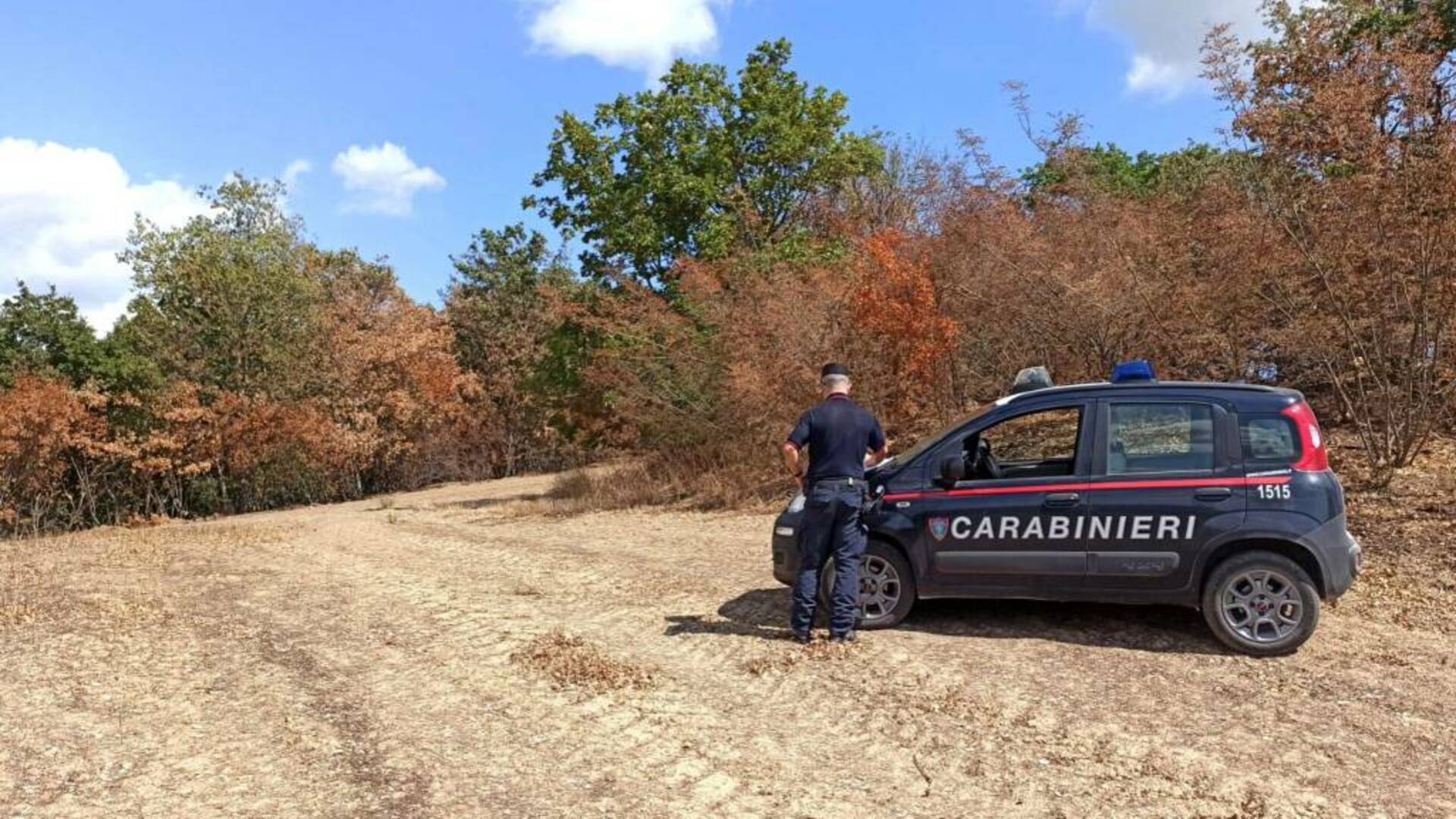 Le fiamme partono dalla mietitrebbia e incendiano il bosco: due denunce