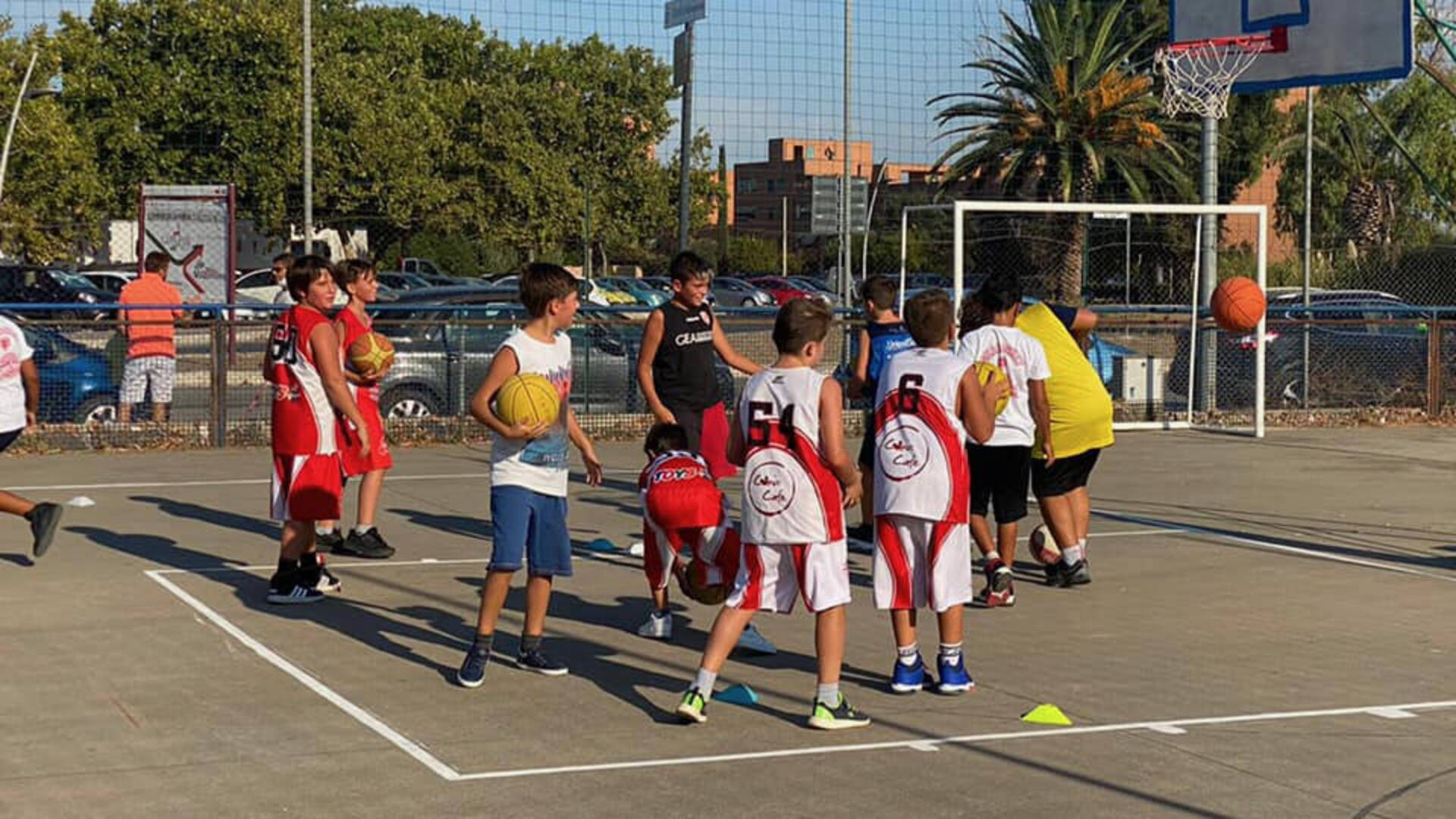 Continuano i corsi di minibasket della Gea, Furi: «Sport che fa crescere»