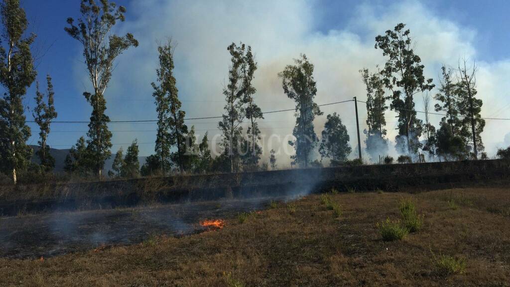 incendio Follonica 15 ottobre 2021