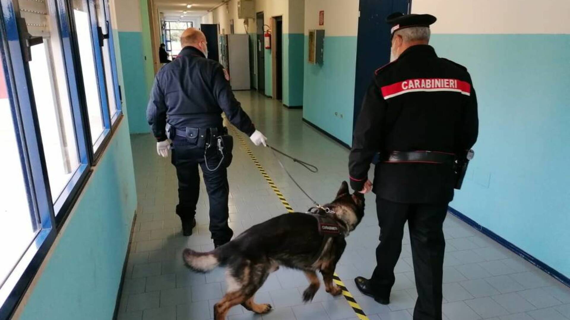 Hashish a scuola: carabinieri nelle classi con i cani antidroga