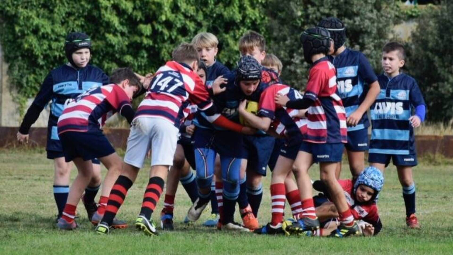 Buon esito del concentramento a Torre del Lago per i baby del Golfo Rugby