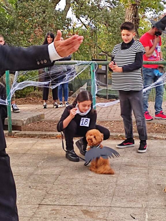 Halloween dog show Finoria