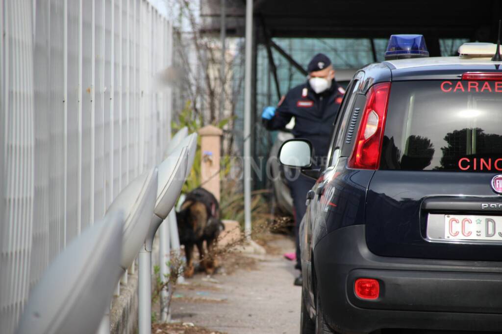 controlli antidroga carabinieri