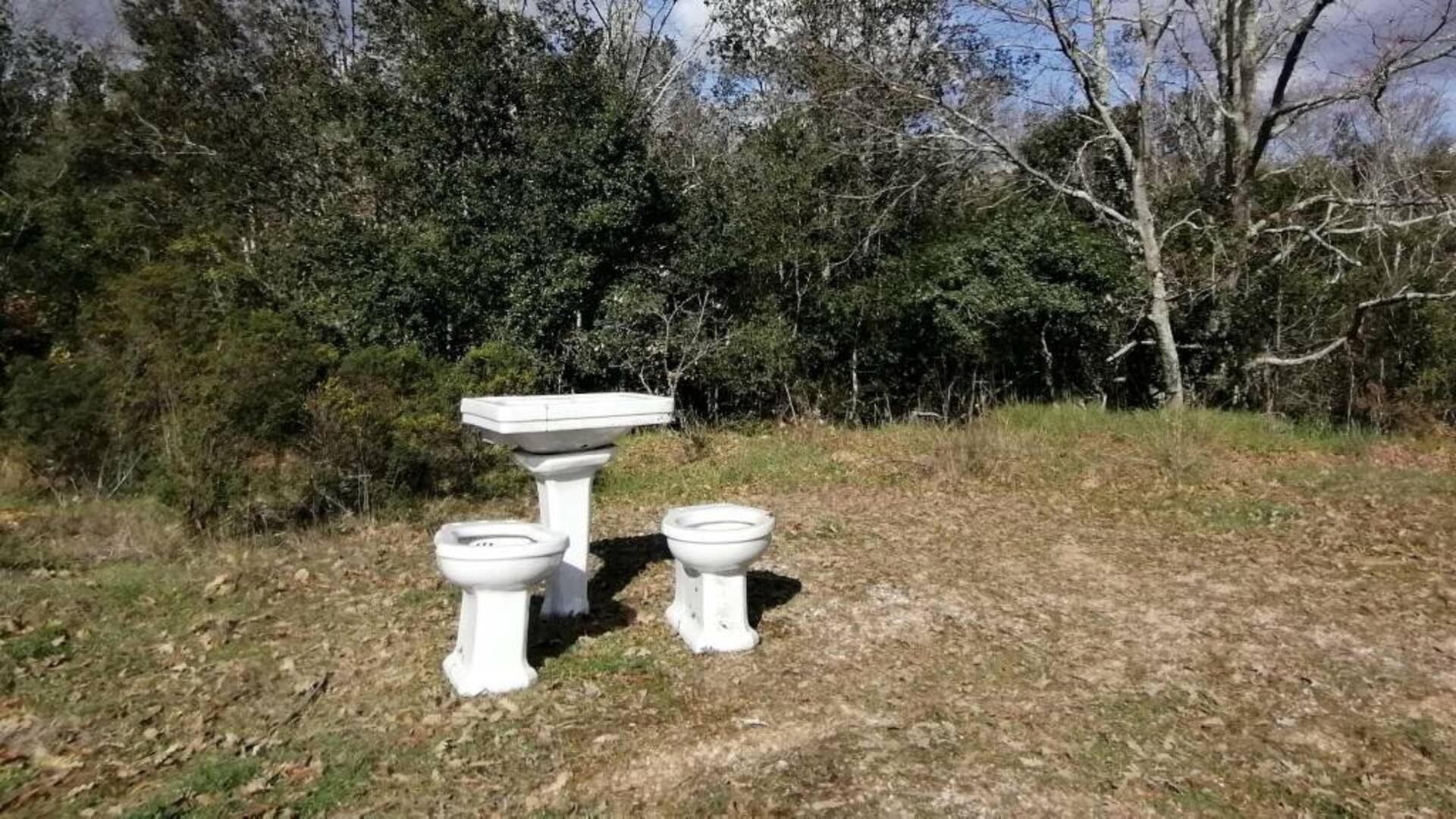 Un “bagno nel bosco”: water, bidet e un lavandino. Lo spettacolo tragicomico al parco