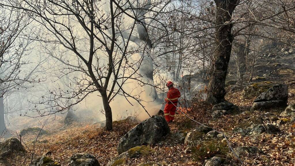 Incendi 10 marzo 2022