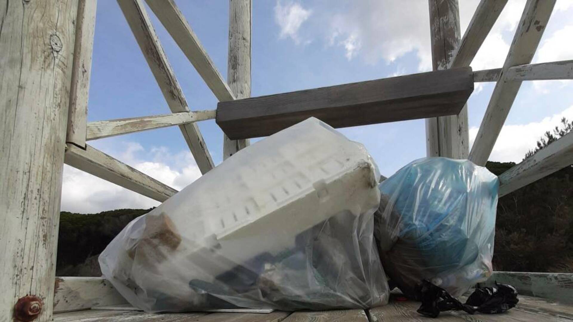 Tutti in spiaggia per la giornata ecologica dedicata al mare: appuntamento a Scarlino