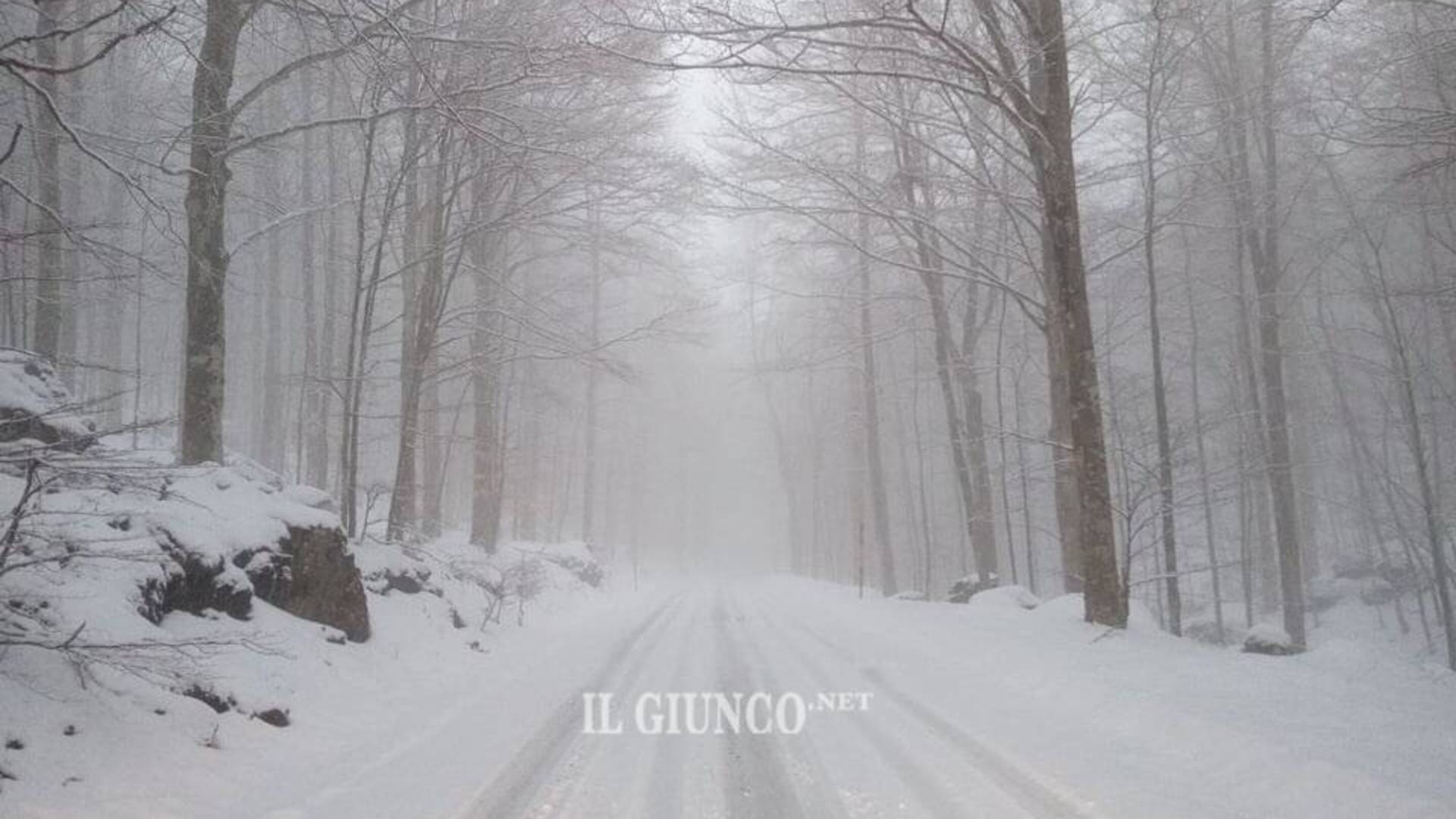 Il bus non ce la fa, studenti tornano a casa a piedi per chilometri sotto la neve