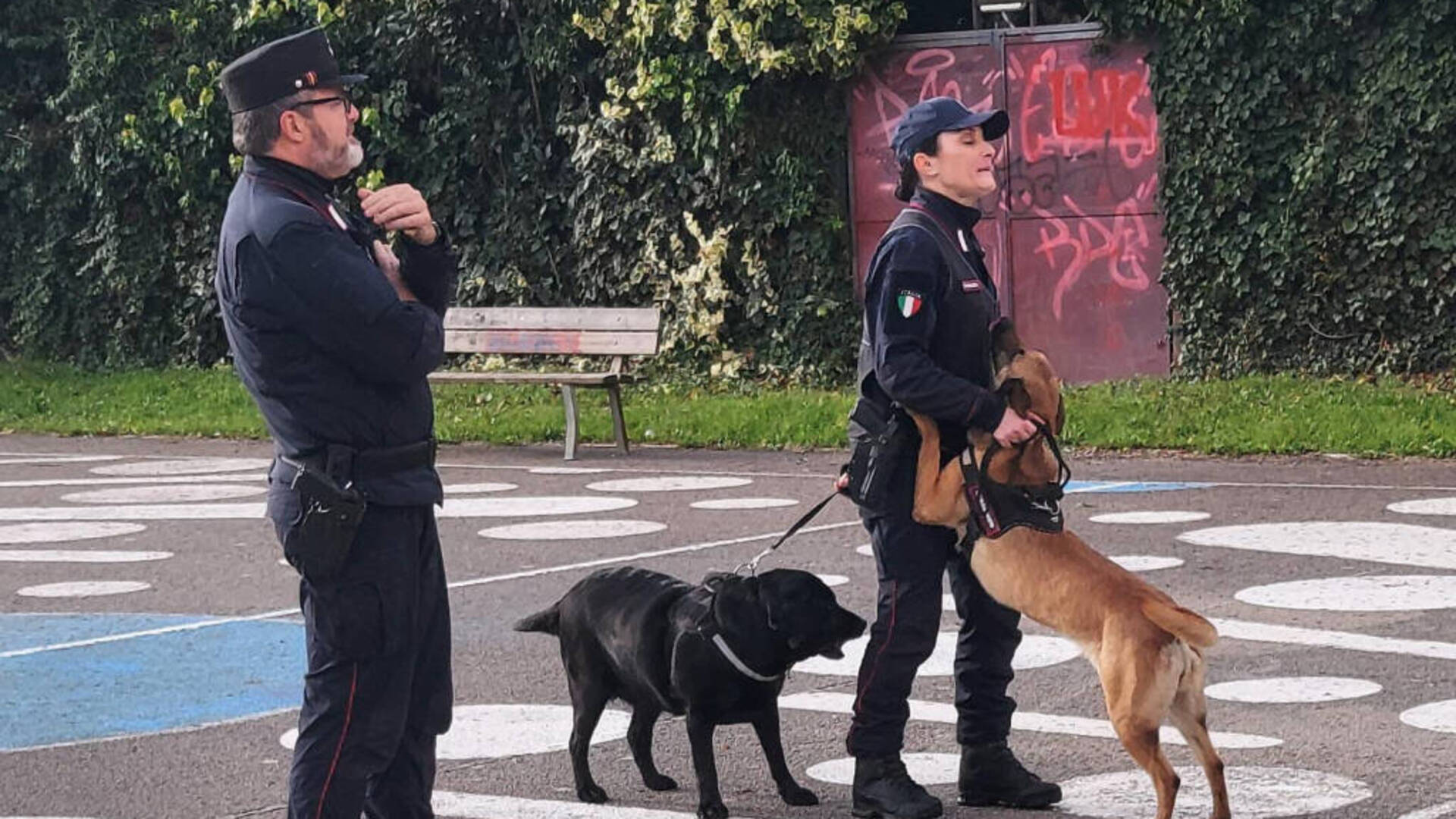 I ragazzi delle scuole incontrano Mora e Lapo, i labrador dei carabinieri per la biodiversità