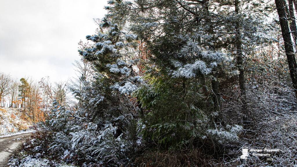 Neve a Gerfalco 20 gennaio 2023