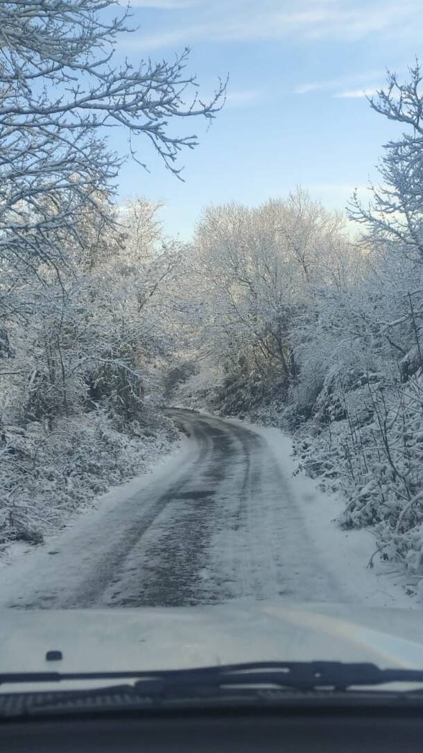 Neve Montieri 20 gennaio 2023