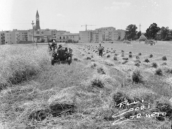 Grosseto anni 50