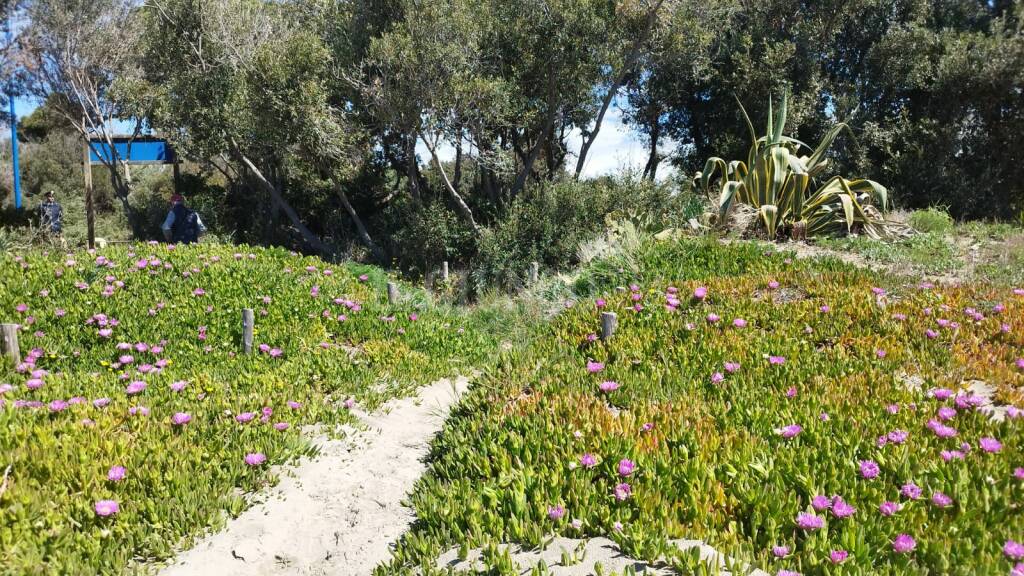 Acquisizione tratto di spiaggia Pratoranieri