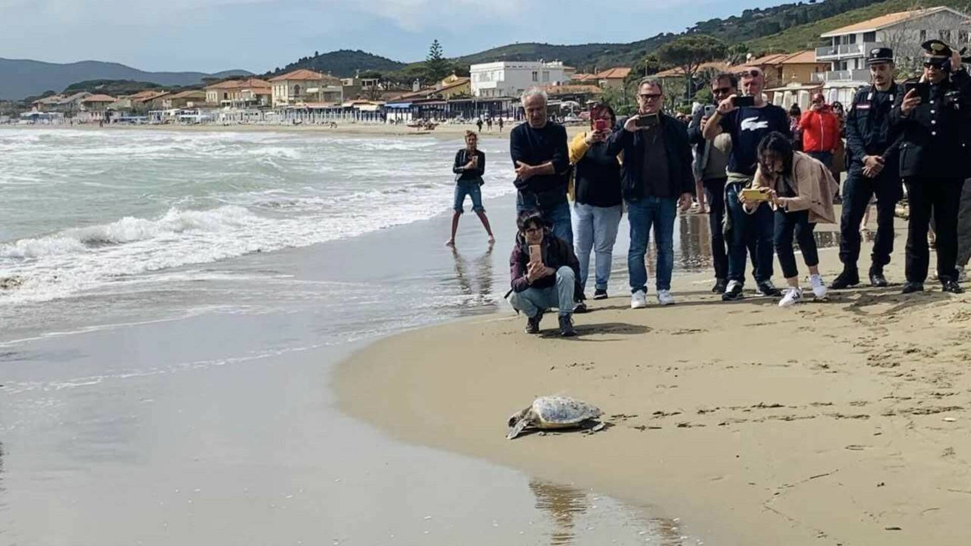 Liberato “Rocco”, la Caretta Caretta rimasta impigliata nelle reti di un peschereccio castiglionese