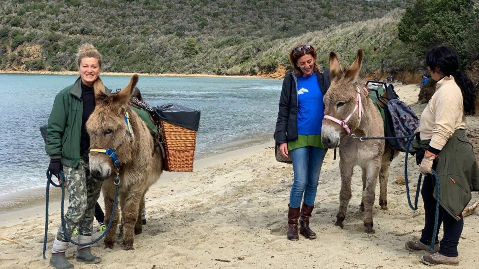 A Cala Violina raccolti 70 chili di rifiuti grazie all’aiuto degli asinelli