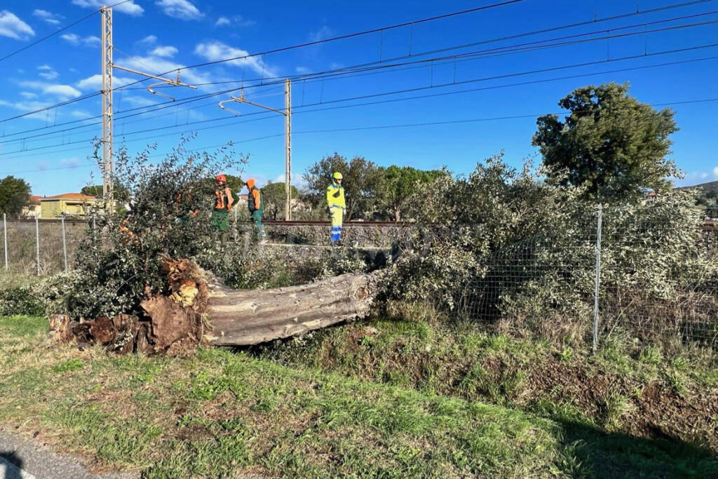 maltempo 3 novembre albero ferrovia