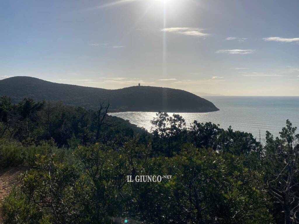 Parco della Maremma - Cala di Forno d'inverno