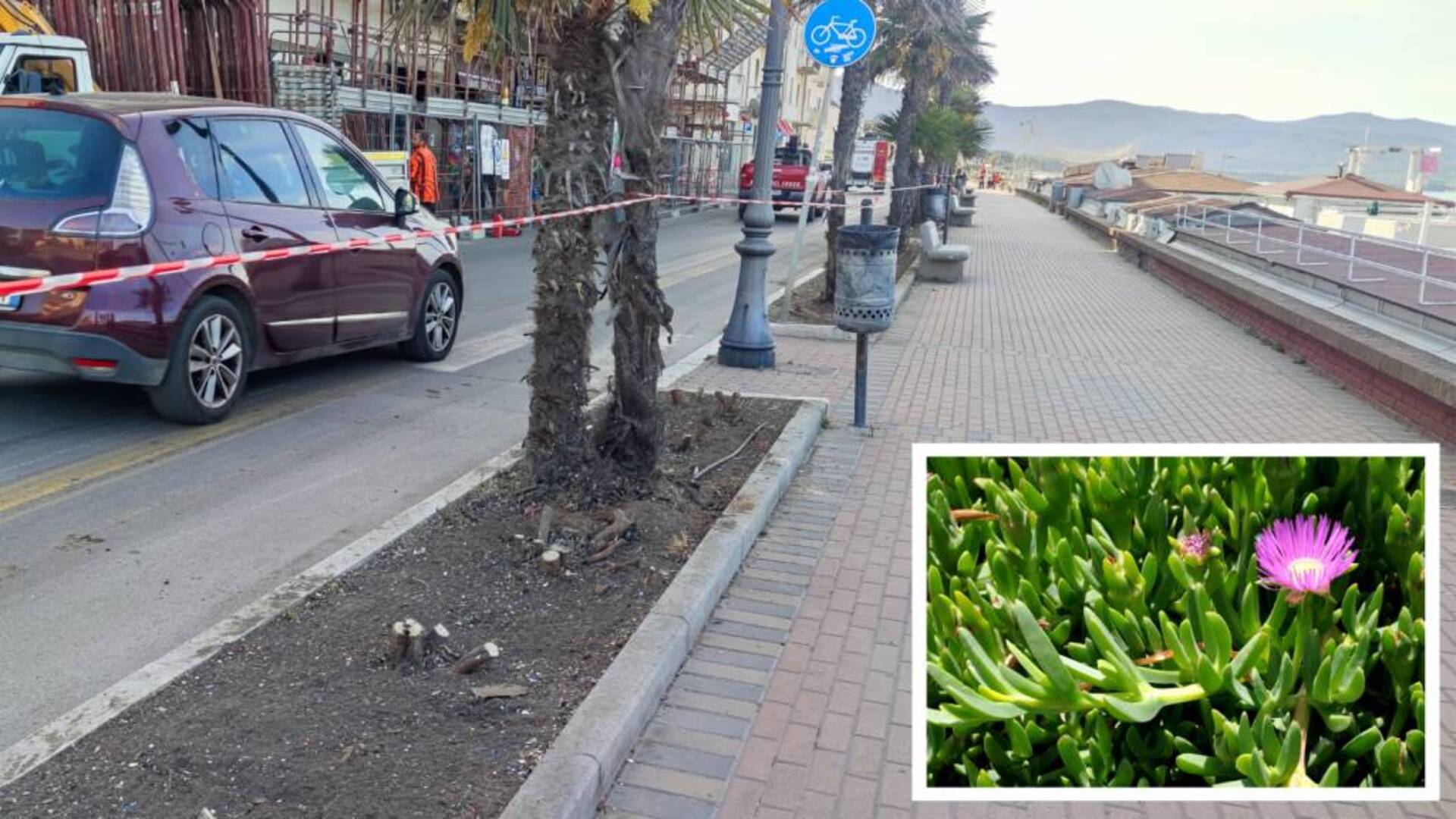 Dopo il taglio della siepe arrivano le nuove fioriture: cambio look per le aiuole del lungomare